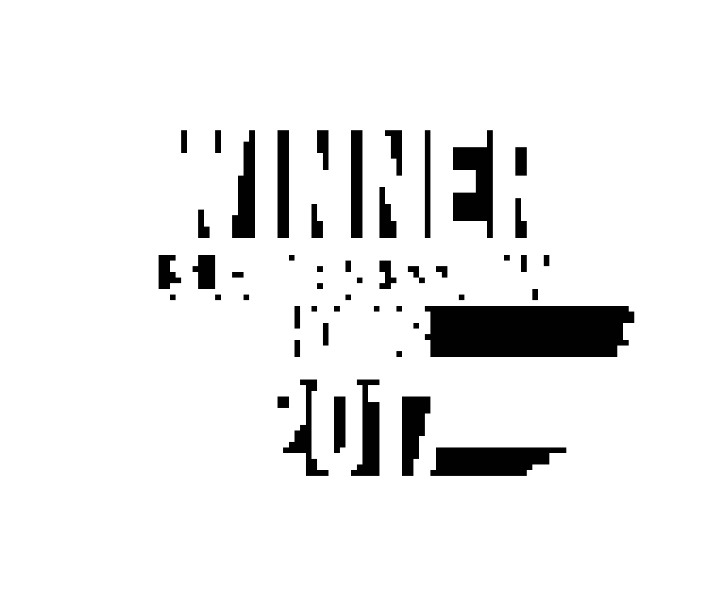 Winner, U.S. Congressional Honor 2017 — award badge